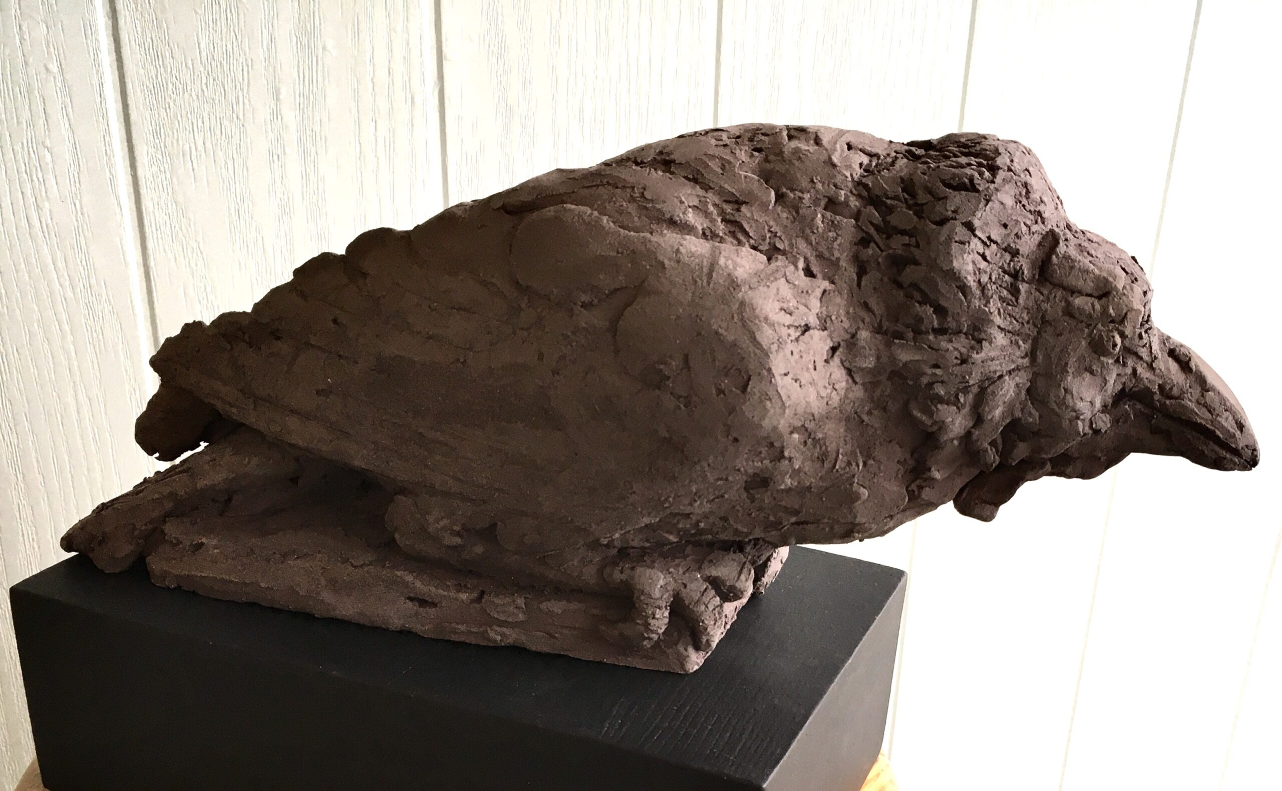 janeve_bainbridge_IMG_0988