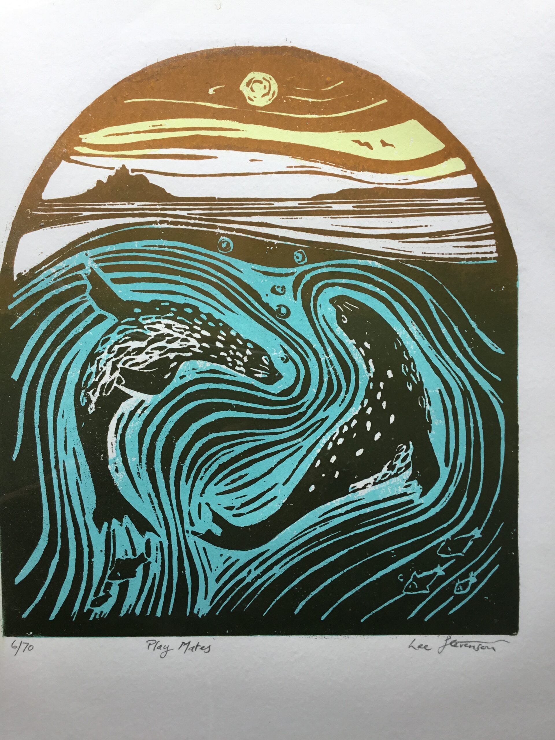 lee_stevenson_cornwall_IMG_3794