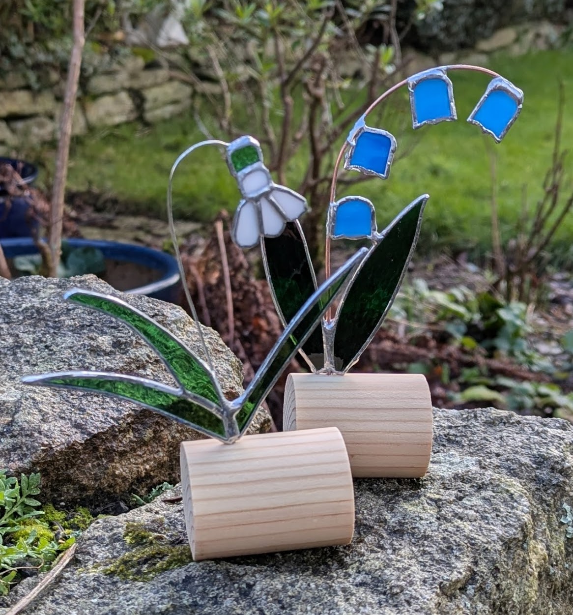 jan_long_cornwall_PXL_20260128_102052204